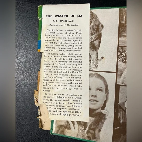 Rare Vintage 1903 Collectible “The New Wizard Of Oz” book with dust cover - Picture 2 of 12